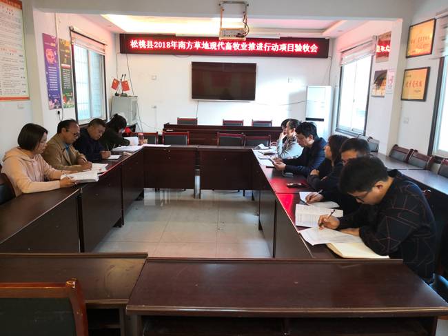 2019.11.13 付薇 验收会议现场 图片1.jpg