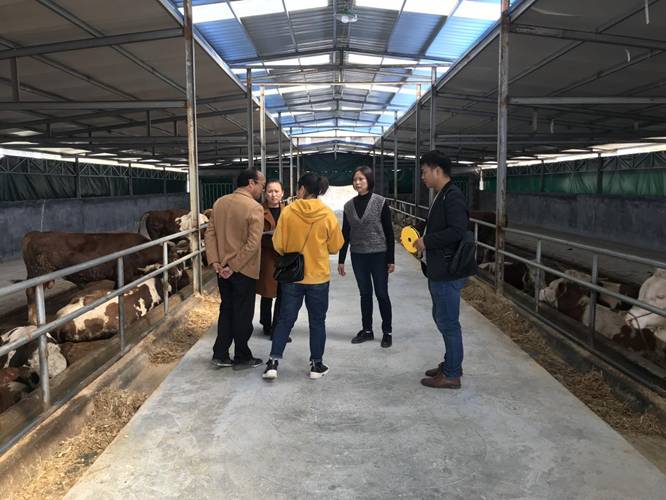 2019.11.13 付薇 验收现场 图片3.jpg