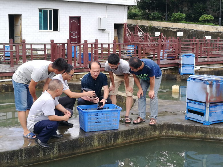 水产产业体系首席科学家周路（中）与疾病防控实验室主任李正友（右三）等在基地讲解鲟鱼养殖体会_副本.jpg