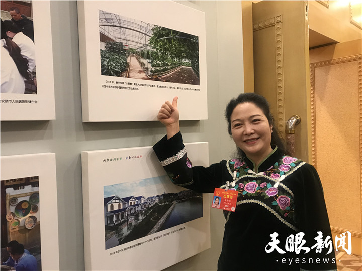 孟平红8.png 孟平红8.png