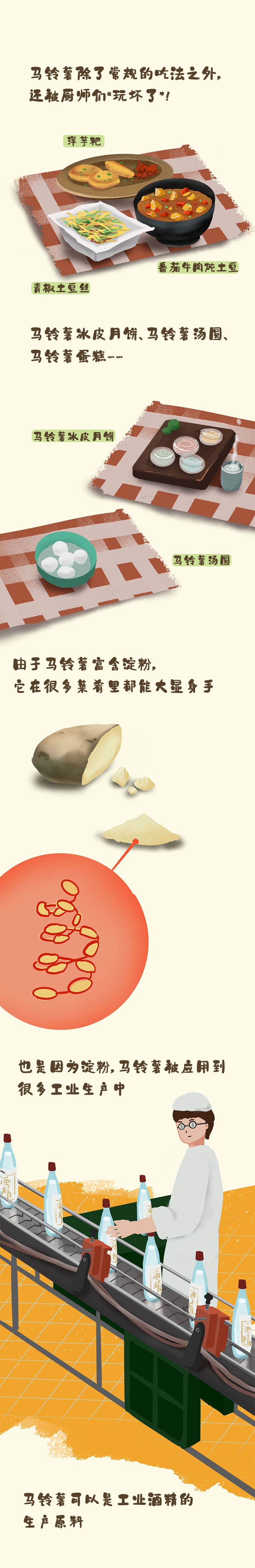 马铃薯2.jpg