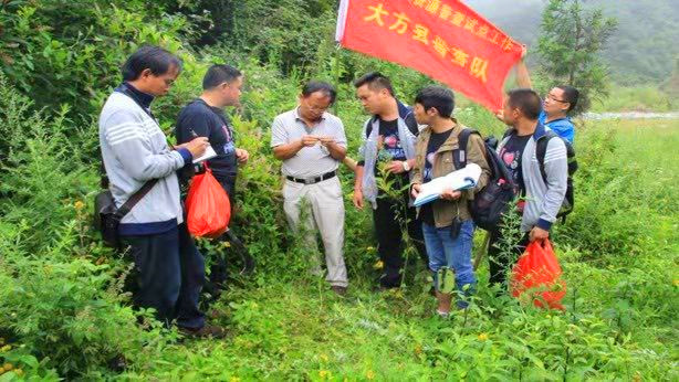 中药材13_副本.jpg