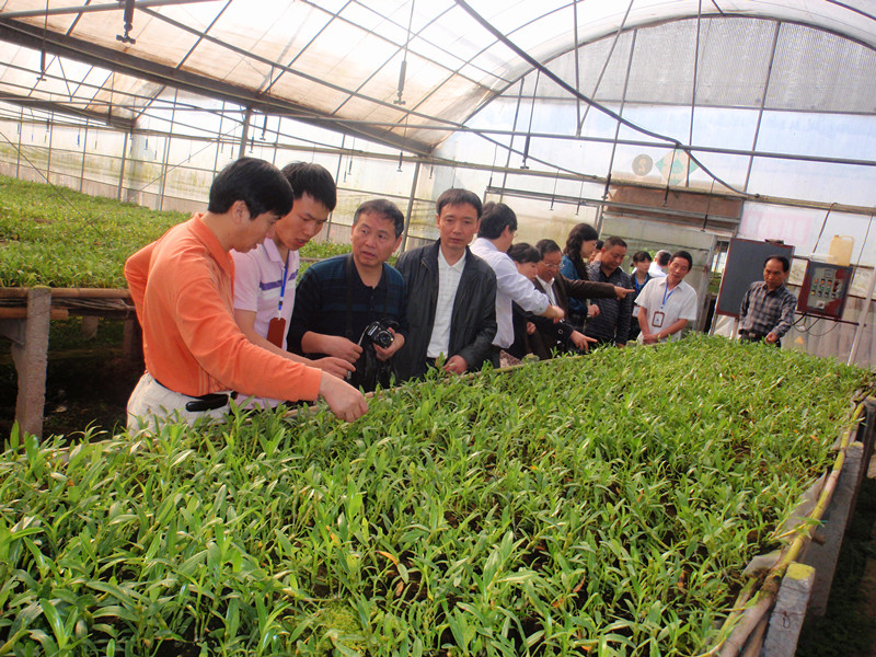 中药材14_副本.jpg